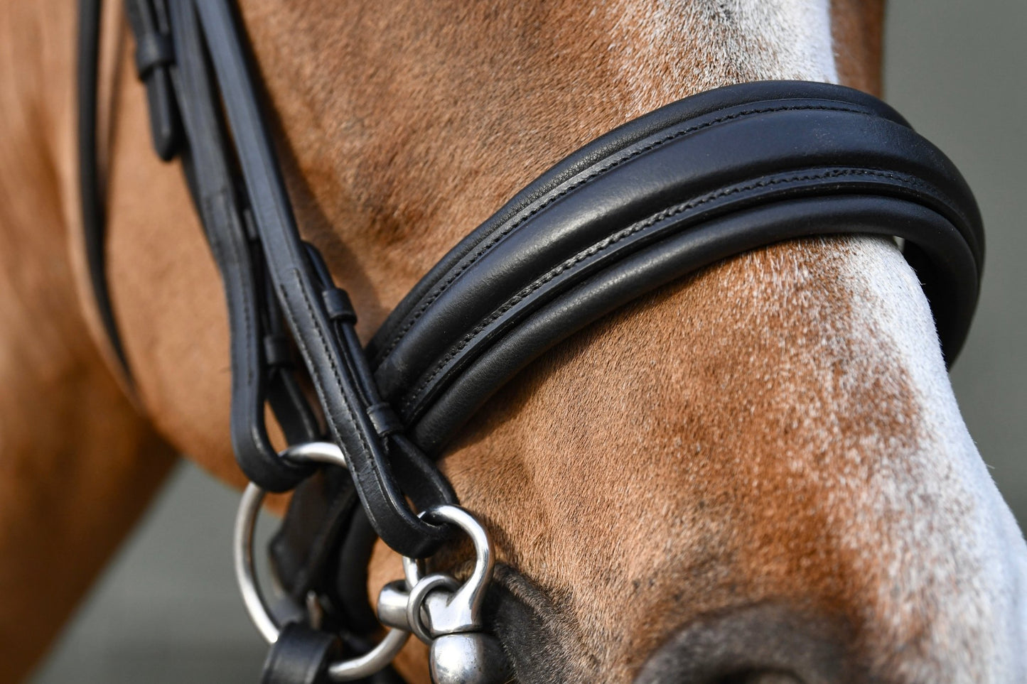Convertible Classic Dressage Comfort Bridle, from The Urbany. Elevate your horse's style with sparkling crystals and comfort.