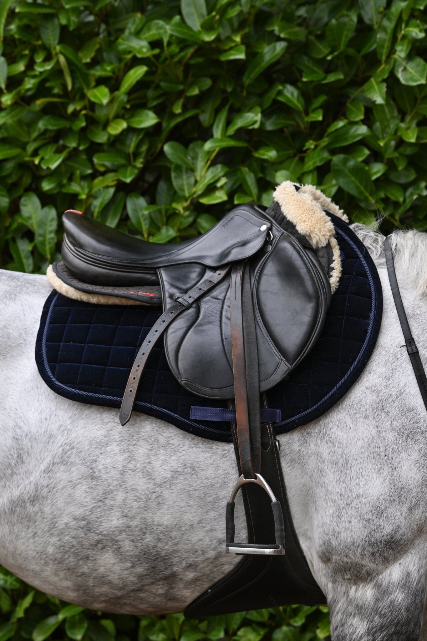 Navy Blue Velvet GP Saddle Pad, from The Urbany. Elevate your horse's style with sparkling crystals and comfort.