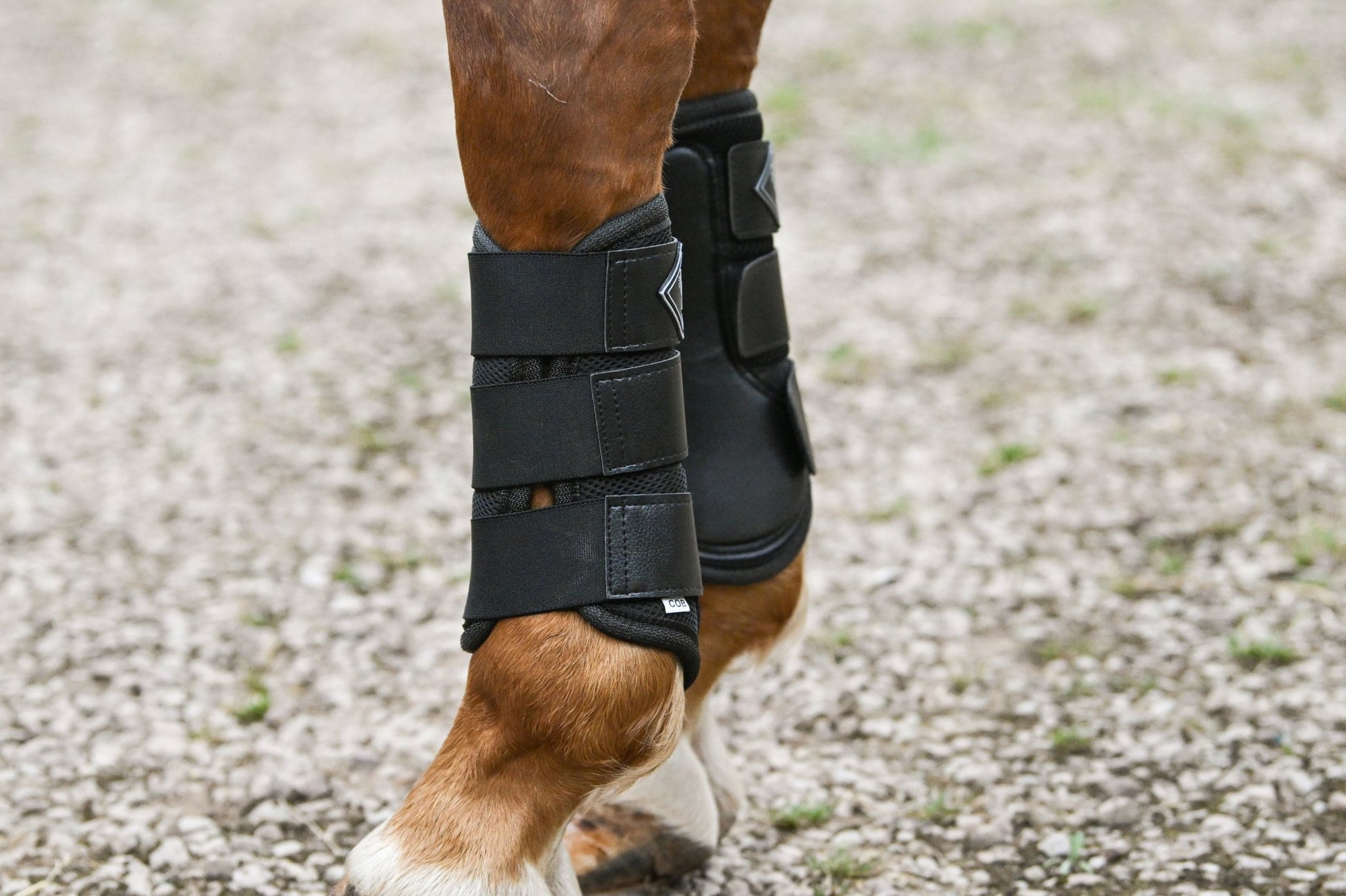 Black Mesh Airflow Brushing Boots, from The Urbany. Elevate your horse's style with sparkling crystals and comfort.