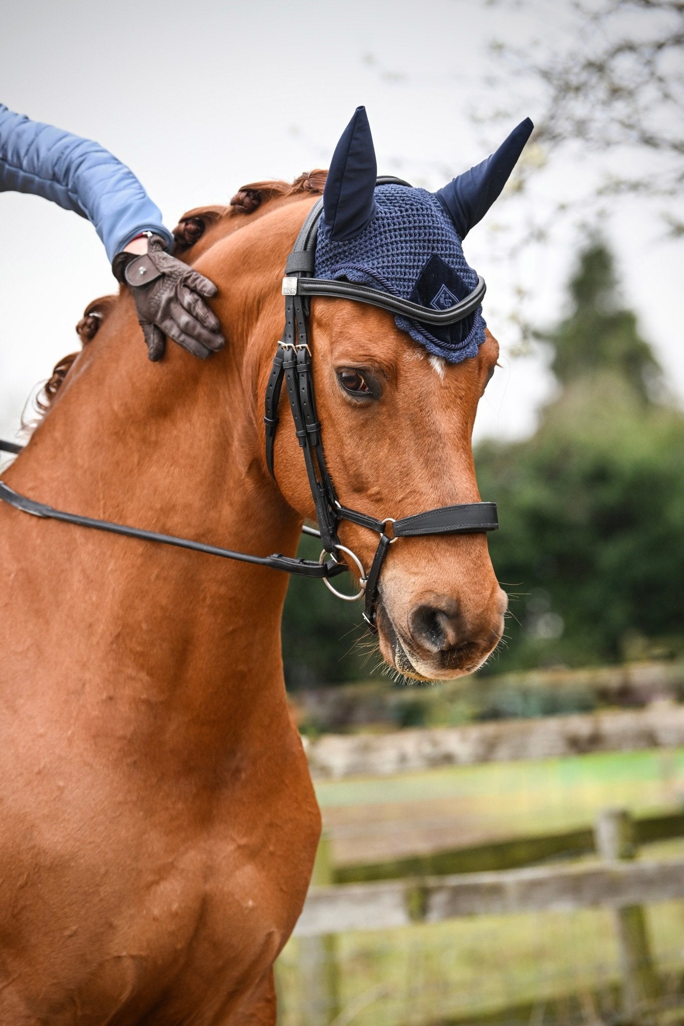 Classic Navy Blue Velvet Fly Veil, from The Urbany. Elevate your horse's style with sparkling crystals and comfort.