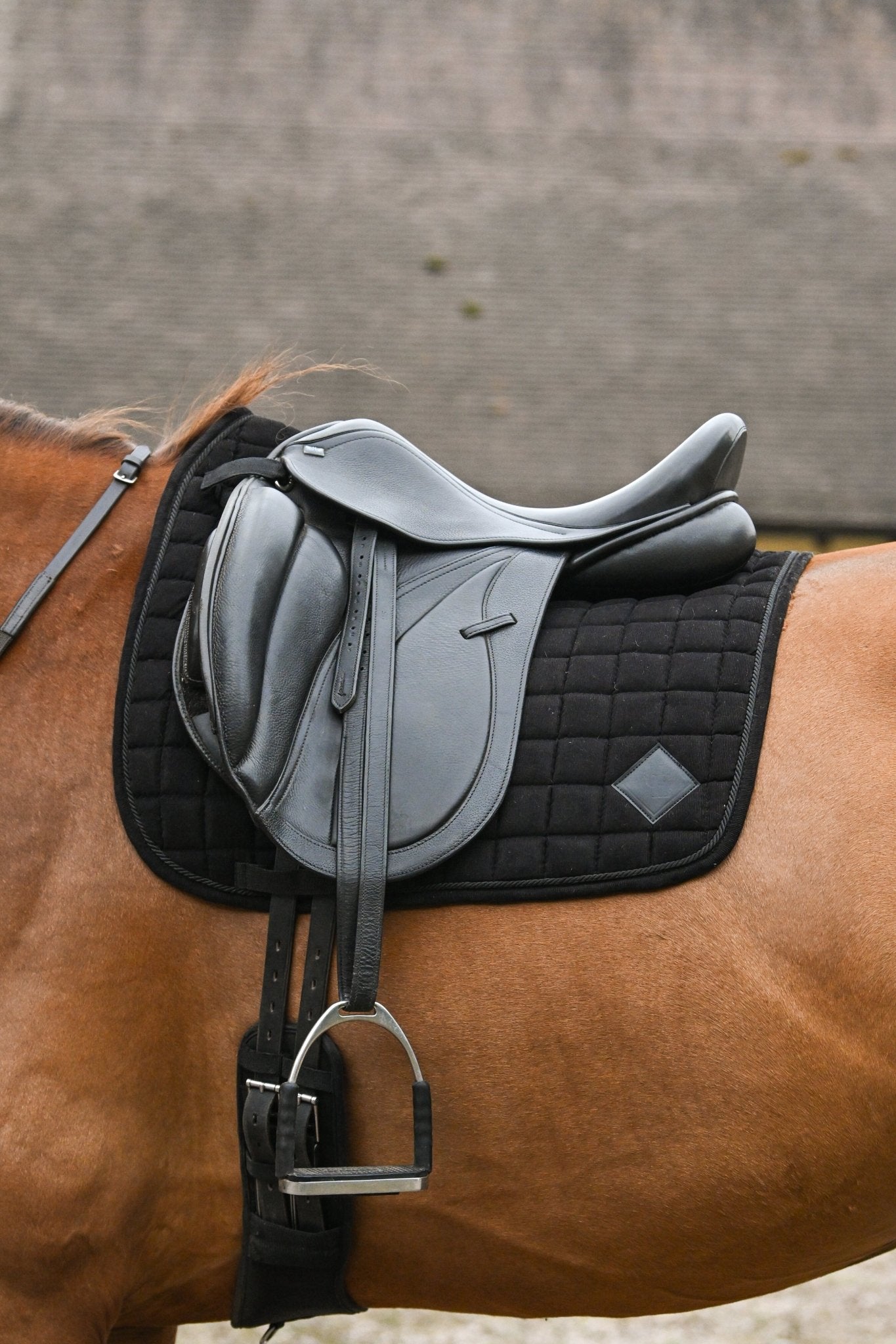 Black Corduroy Dressage Saddle Pad, from The Urbany. Elevate your horse's style with sparkling crystals and comfort.