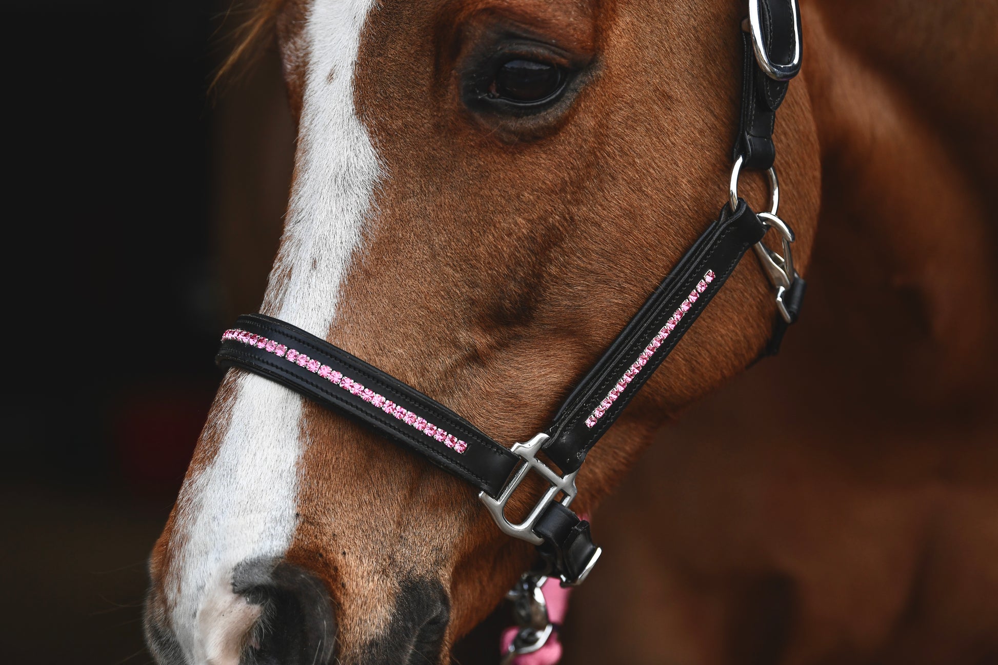 Hot Pink Leather Headcollar, from The Urbany. Elevate your horse's style with sparkling crystals and comfort.