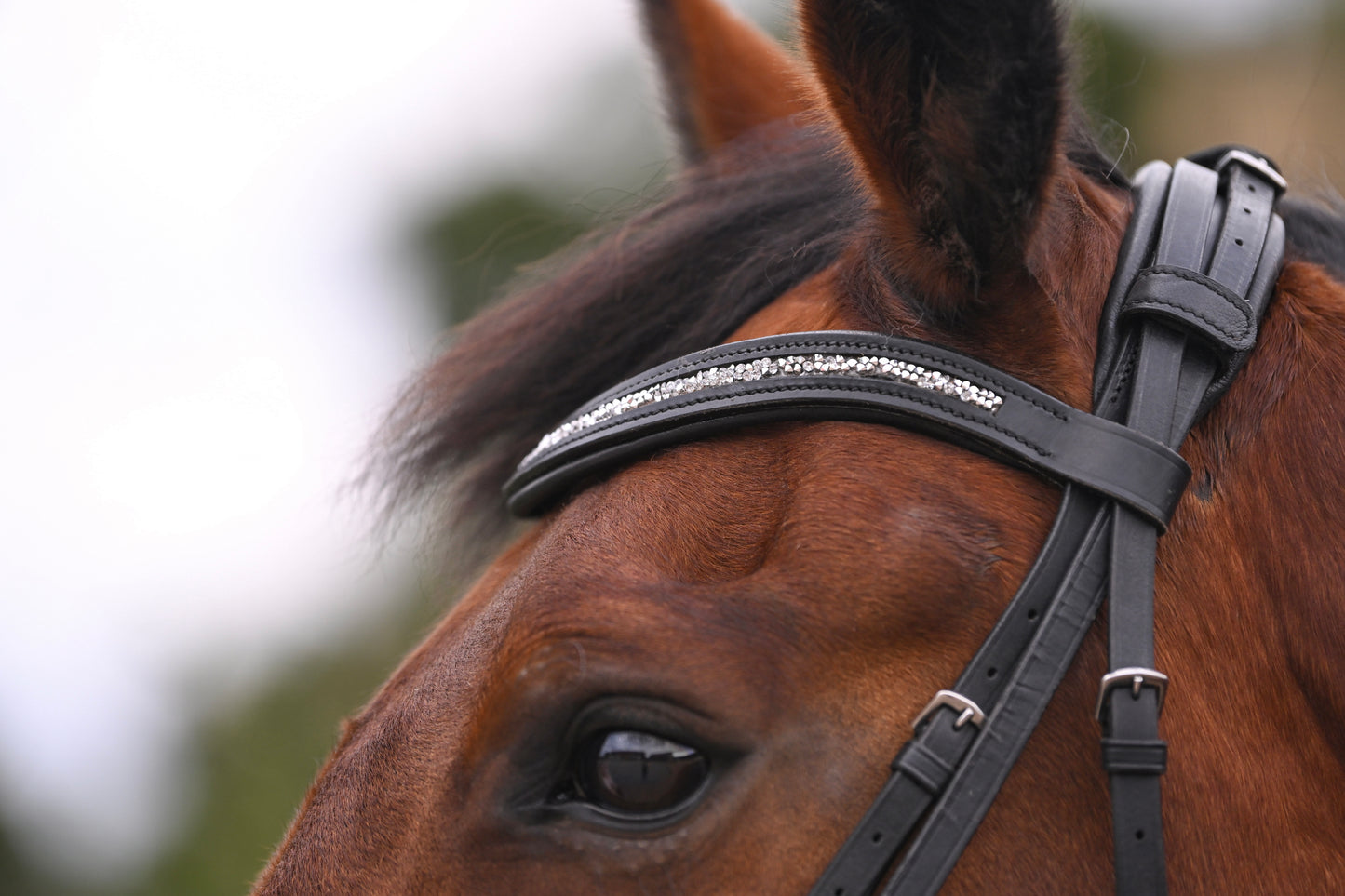 Crushed Silver Crystal Padded Browband