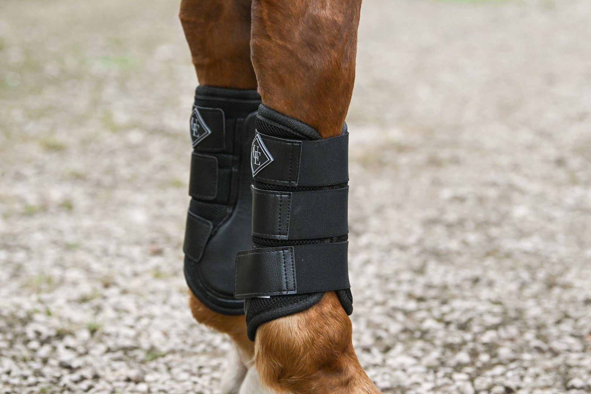 Black Mesh Airflow Brushing Boots, from The Urbany. Elevate your horse's style with sparkling crystals and comfort.