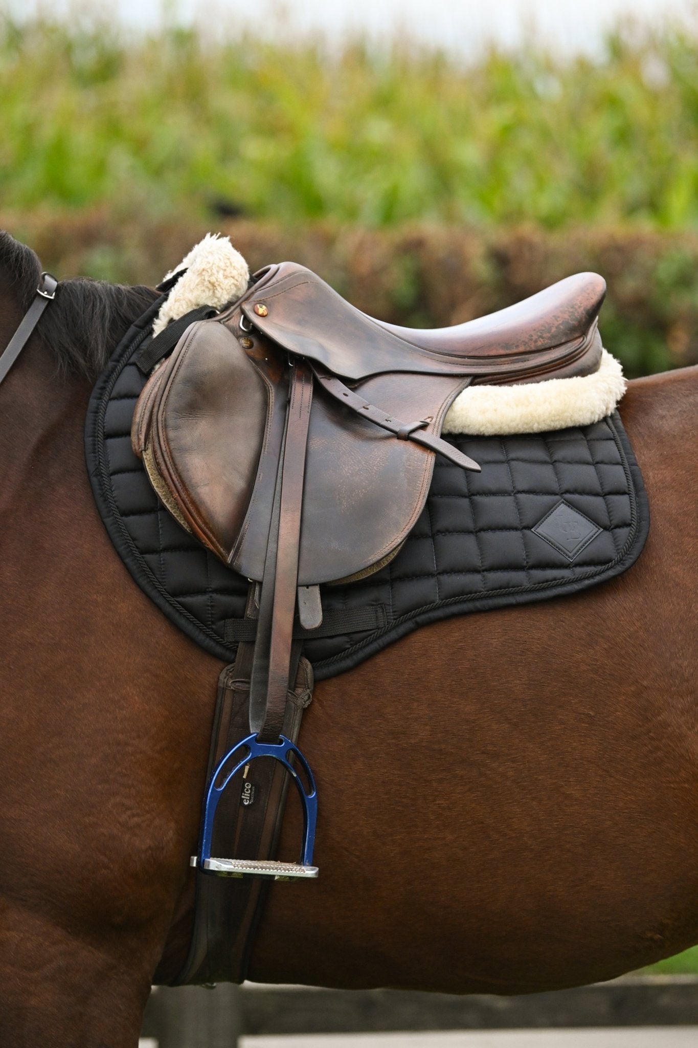 Black Satin GP Saddle Pad, from The Urbany. Elevate your horse's style with sparkling crystals and comfort.