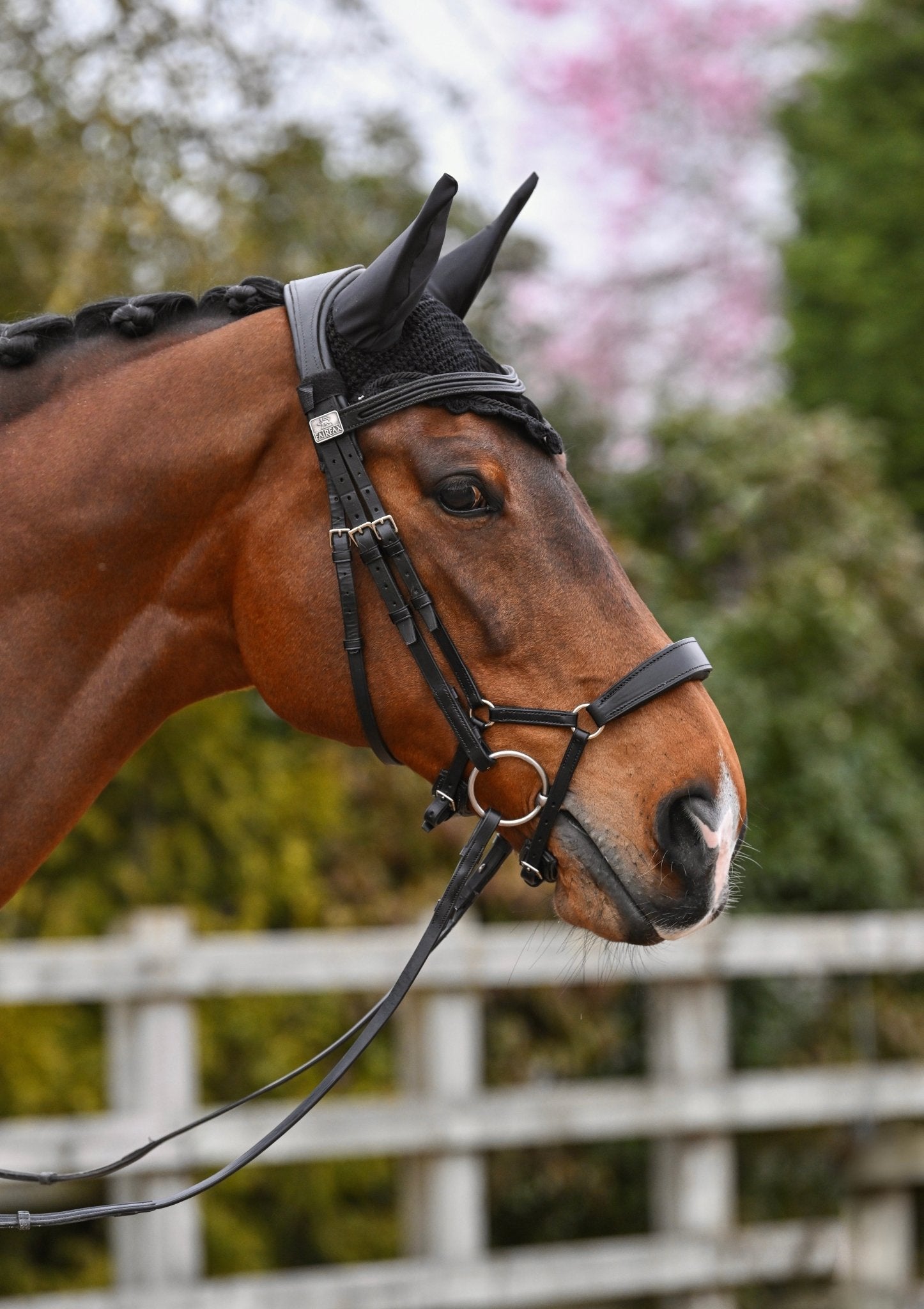 Classic Black Velvet Fly Veil, from The Urbany. Elevate your horse's style with sparkling crystals and comfort.