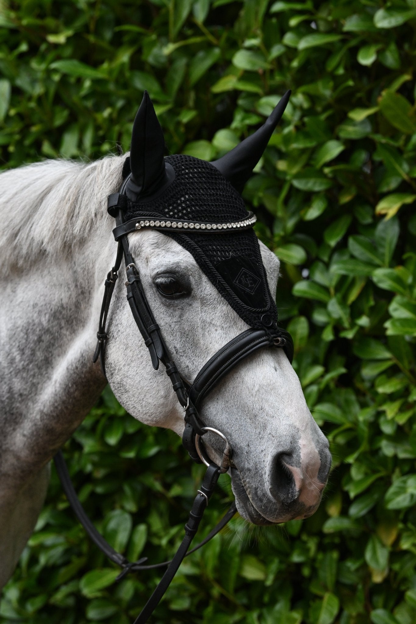 Black Velvet Long Fly Veil, from The Urbany. Elevate your horse's style with sparkling crystals and comfort.