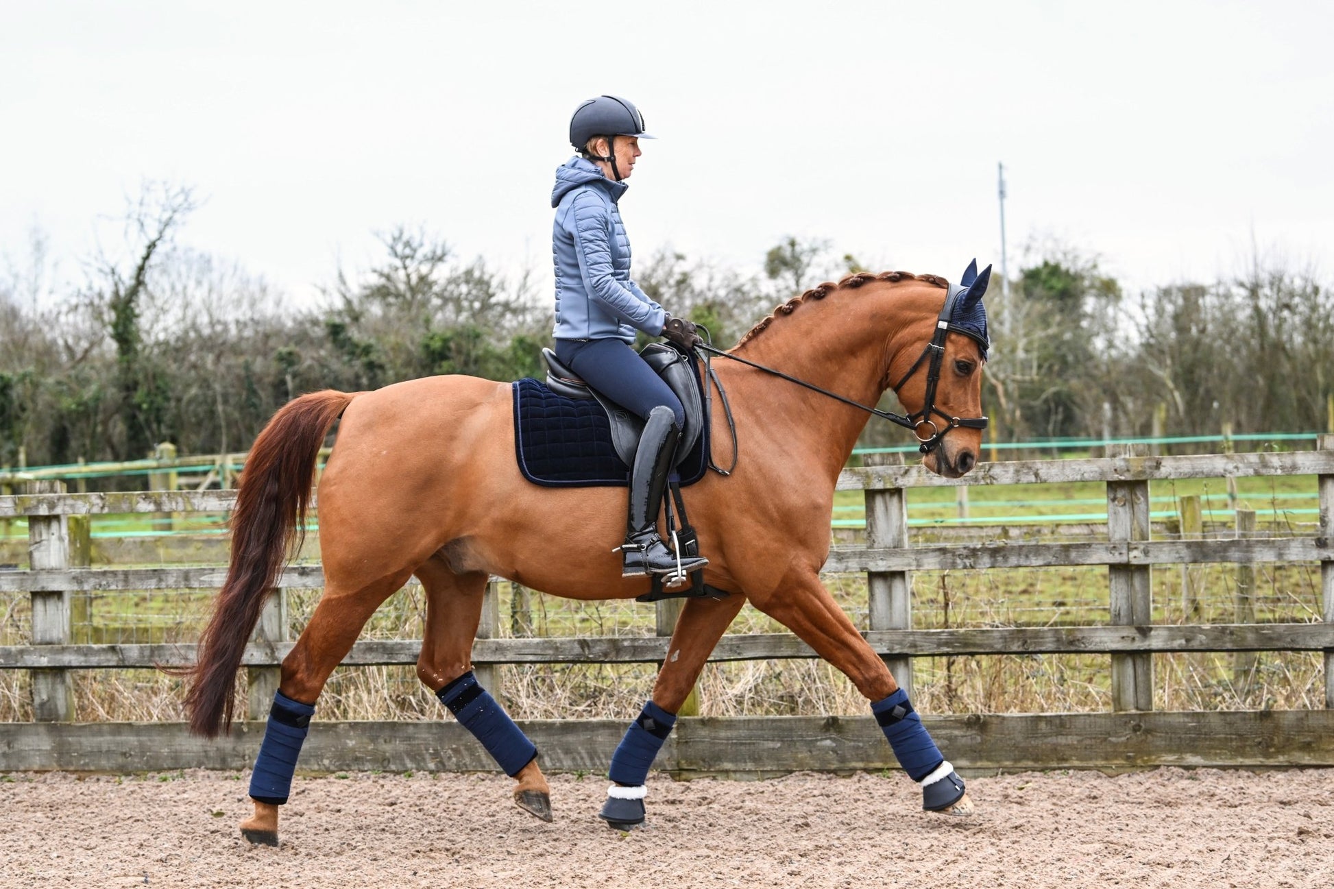 Navy Blue Velvet Dressage Saddle Pad, from The Urbany. Elevate your horse's style with sparkling crystals and comfort.