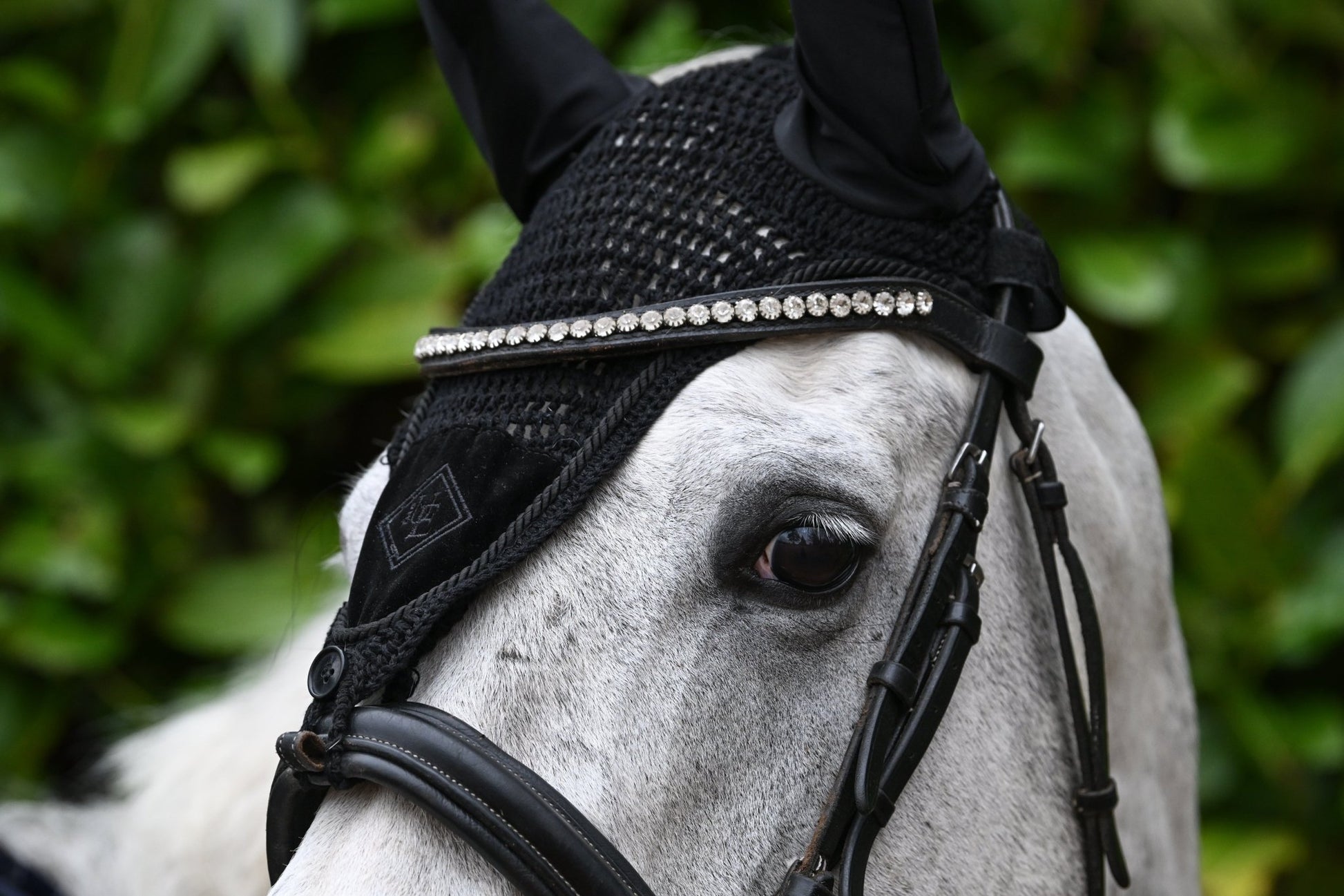 Black Velvet Long Fly Veil, from The Urbany. Elevate your horse's style with sparkling crystals and comfort.