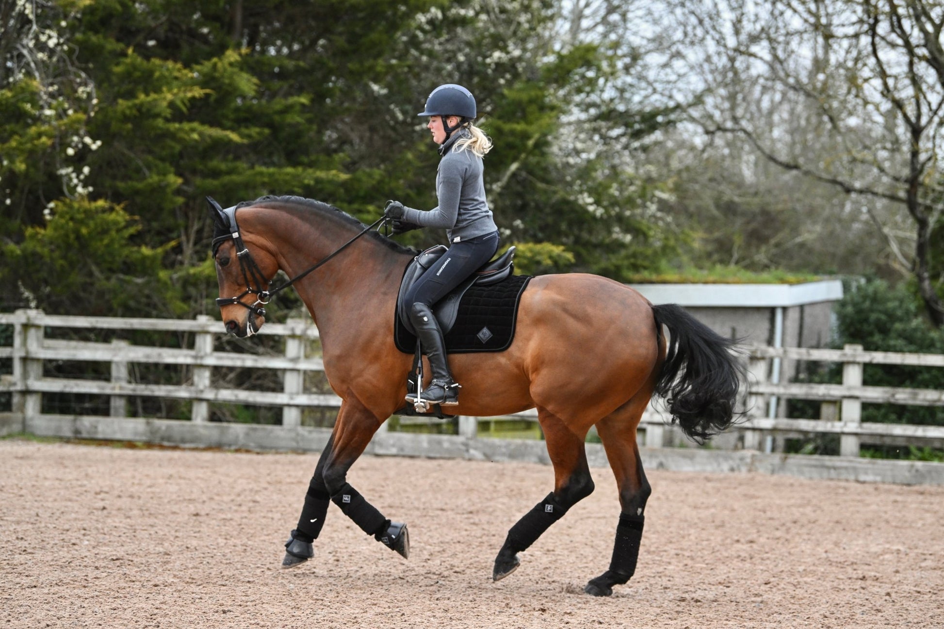 Black Velvet Dressage Saddle Pad, from The Urbany. Elevate your horse's style with sparkling crystals and comfort.