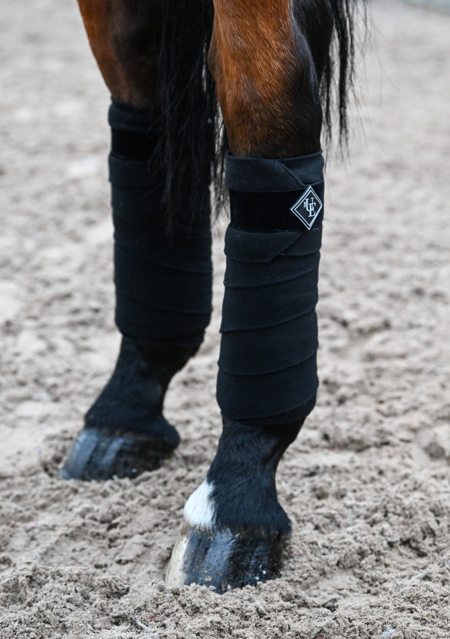 Black Velvet Fleece Bandages, from The Urbany. Elevate your horse's style with sparkling crystals and comfort.