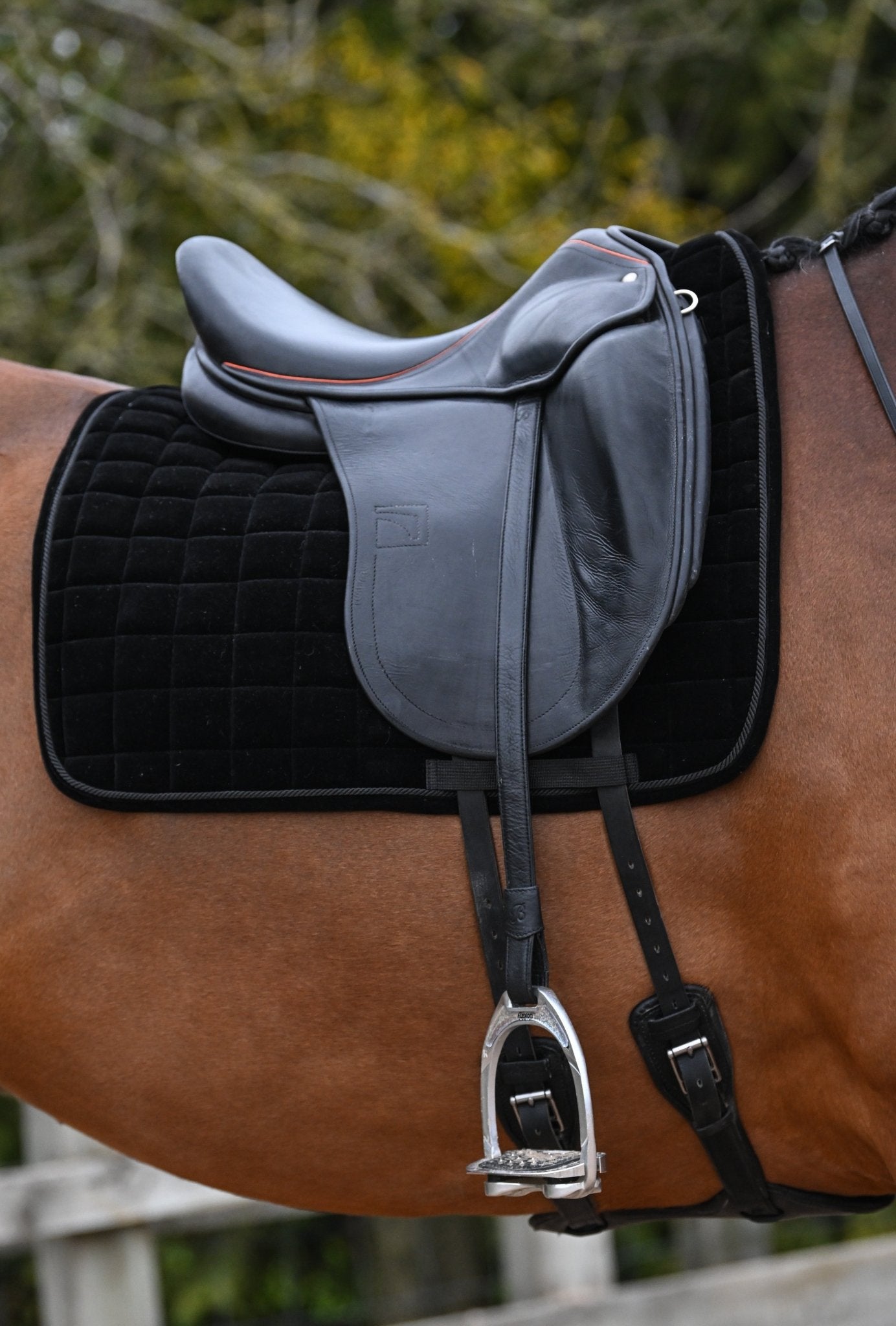 Black Velvet Dressage Saddle Pad, from The Urbany. Elevate your horse's style with sparkling crystals and comfort.