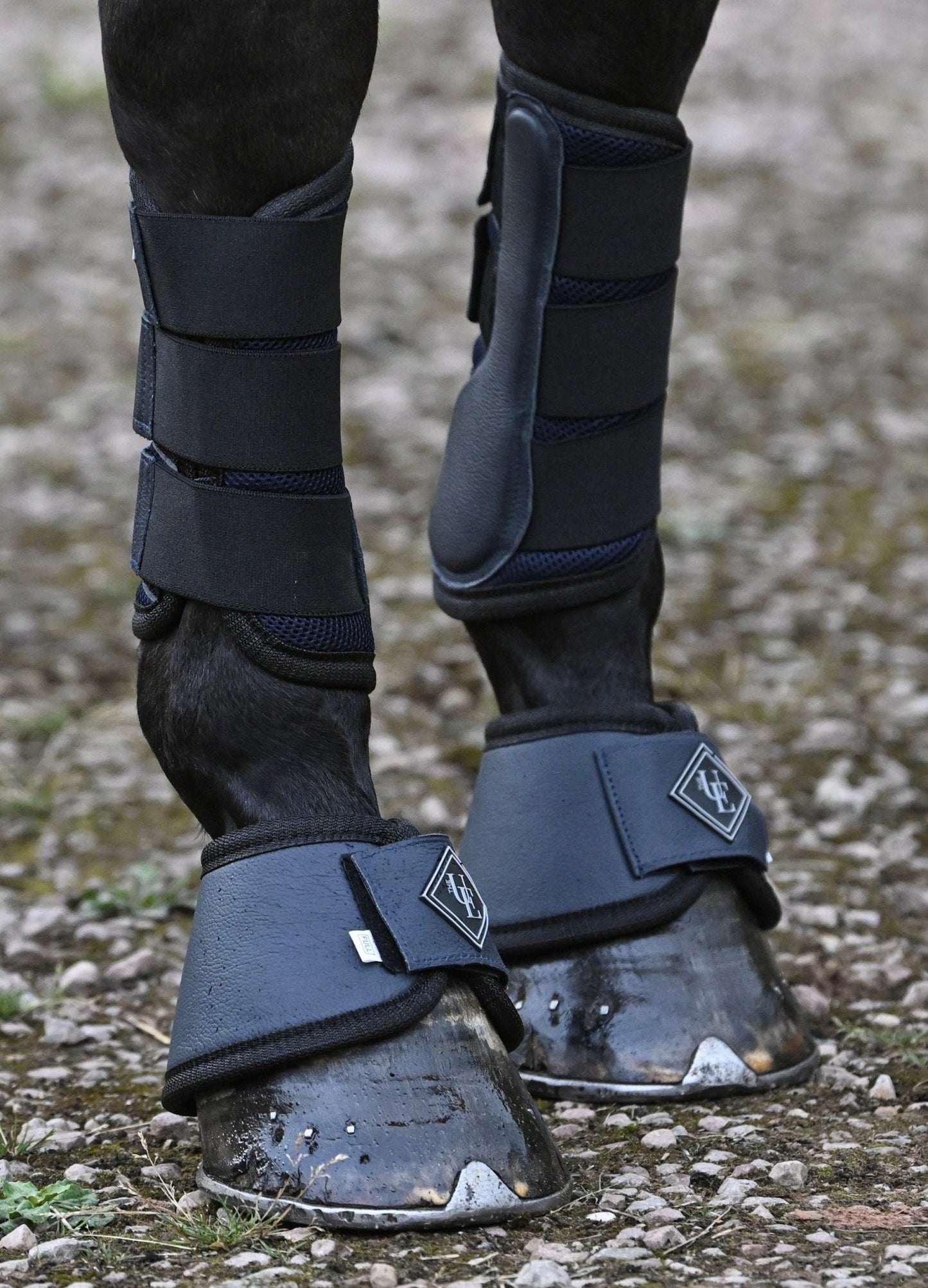 Navy Blue Brushing Boots, from The Urbany. Elevate your horse's style with sparkling crystals and comfort.