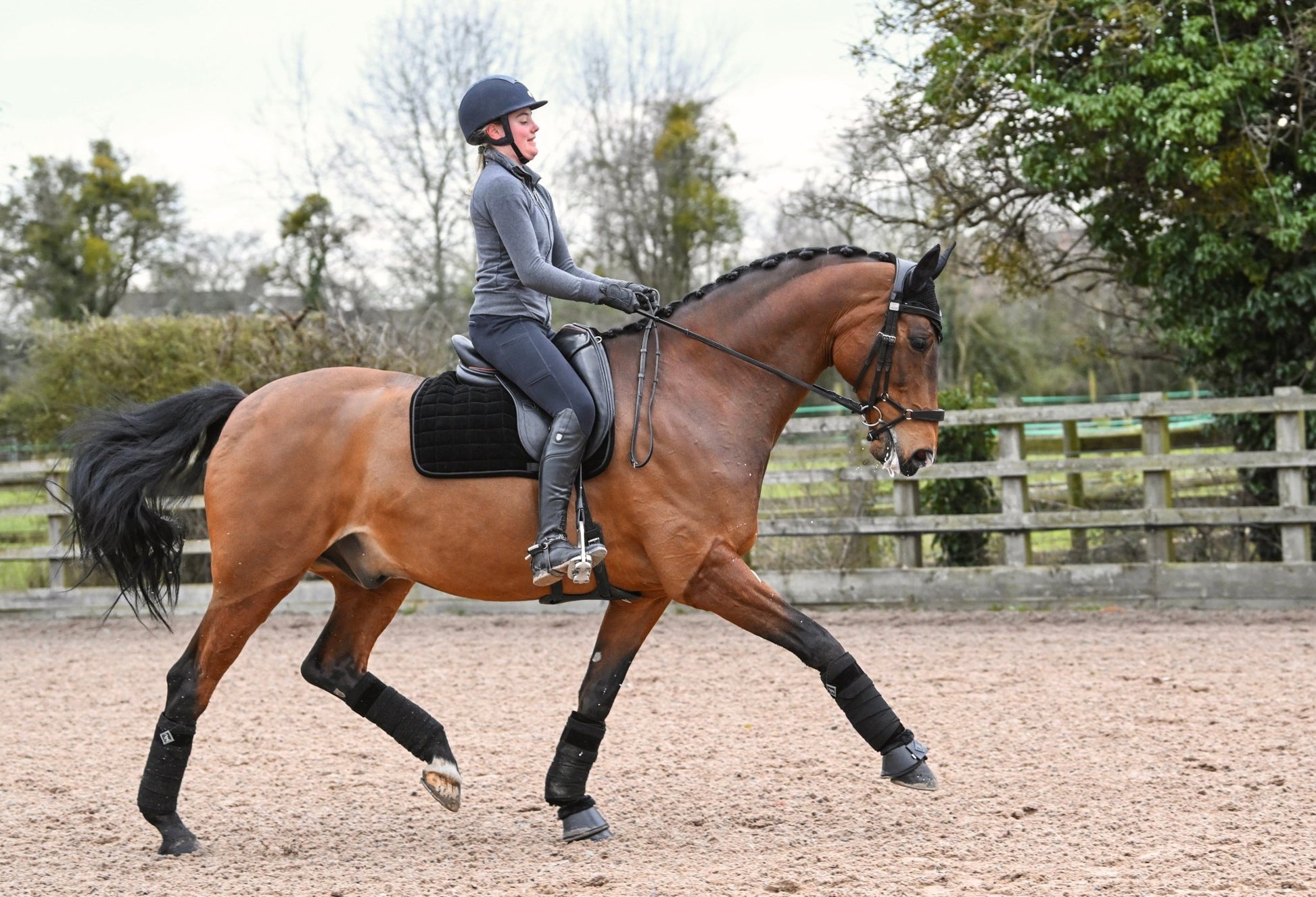 Black Velvet Bandage Pads, from The Urbany. Elevate your horse's style with sparkling crystals and comfort.