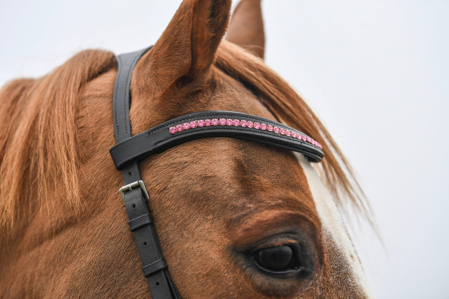 Hot Pink Crystal Padded Browband, from The Urbany. Elevate your horse's style with sparkling crystals and comfort.