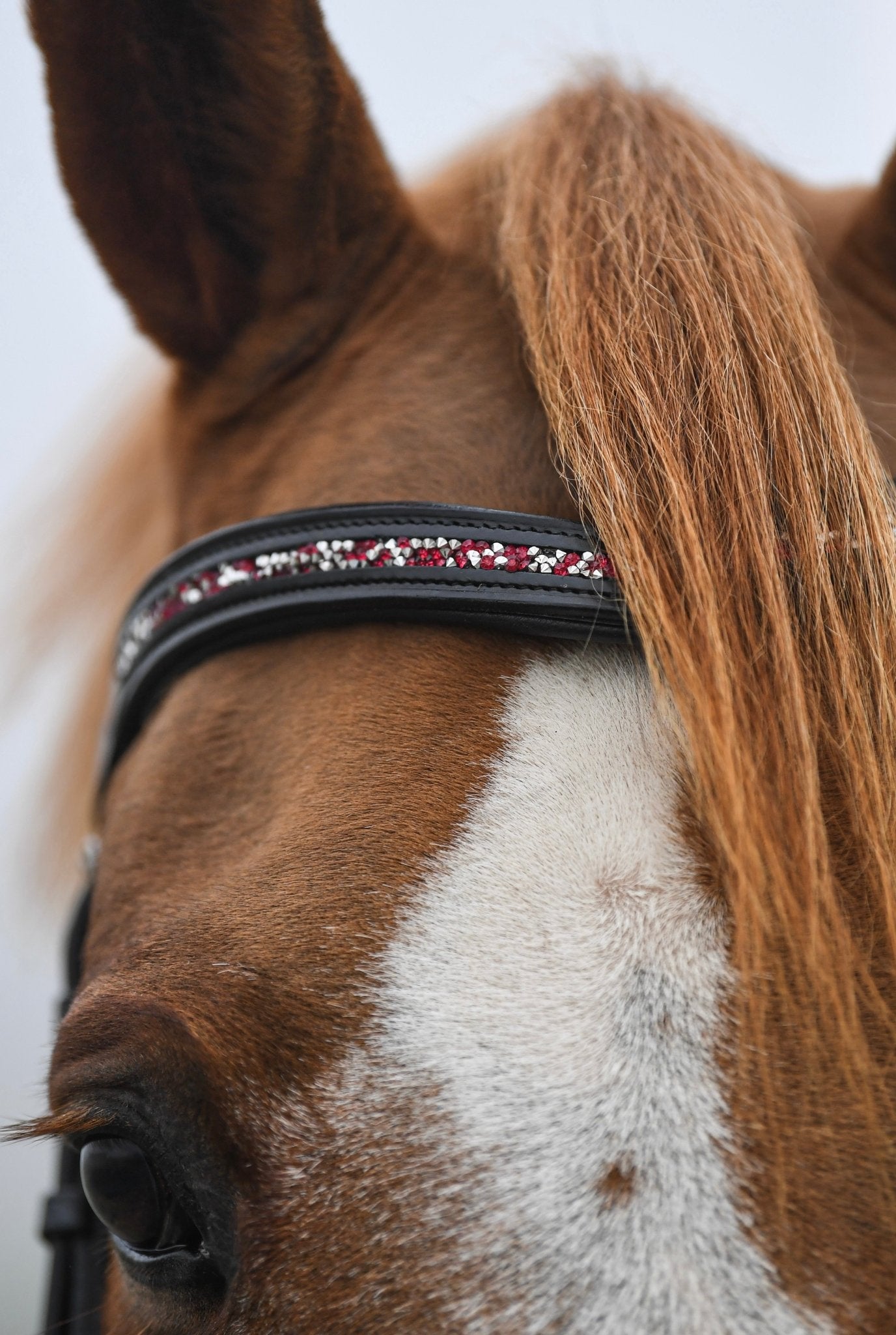 Crushed Ruby Crystal Padded Browband, from The Urbany. Elevate your horse's style with sparkling crystals and comfort.