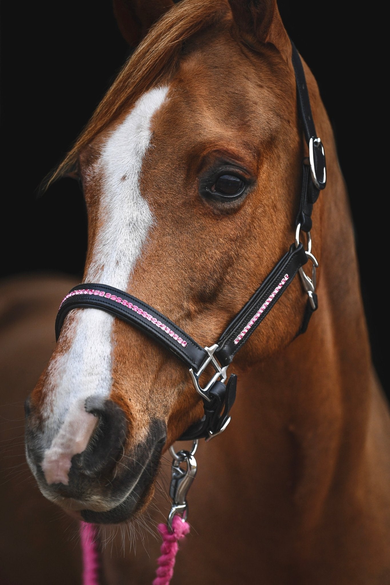 Hot Pink Leather Headcollar, from The Urbany. Elevate your horse's style with sparkling crystals and comfort.