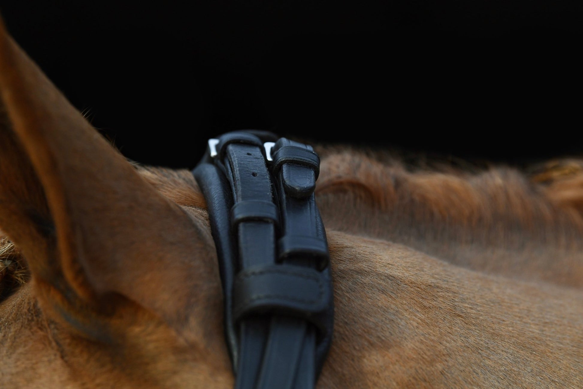 Convertible Classic Dressage Comfort Bridle, from The Urbany. Elevate your horse's style with sparkling crystals and comfort.