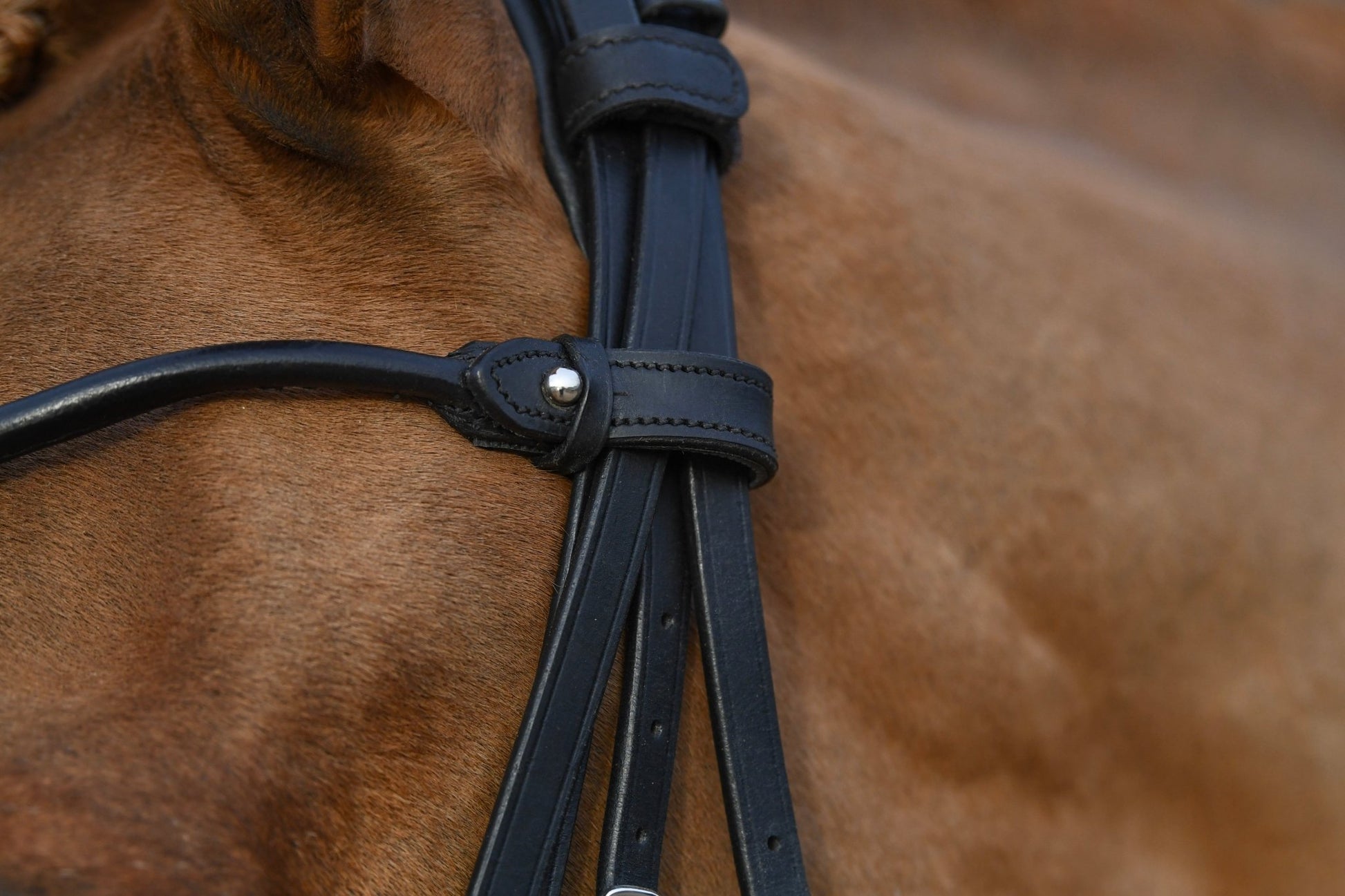 Convertible Classic Dressage Comfort Bridle, from The Urbany. Elevate your horse's style with sparkling crystals and comfort.