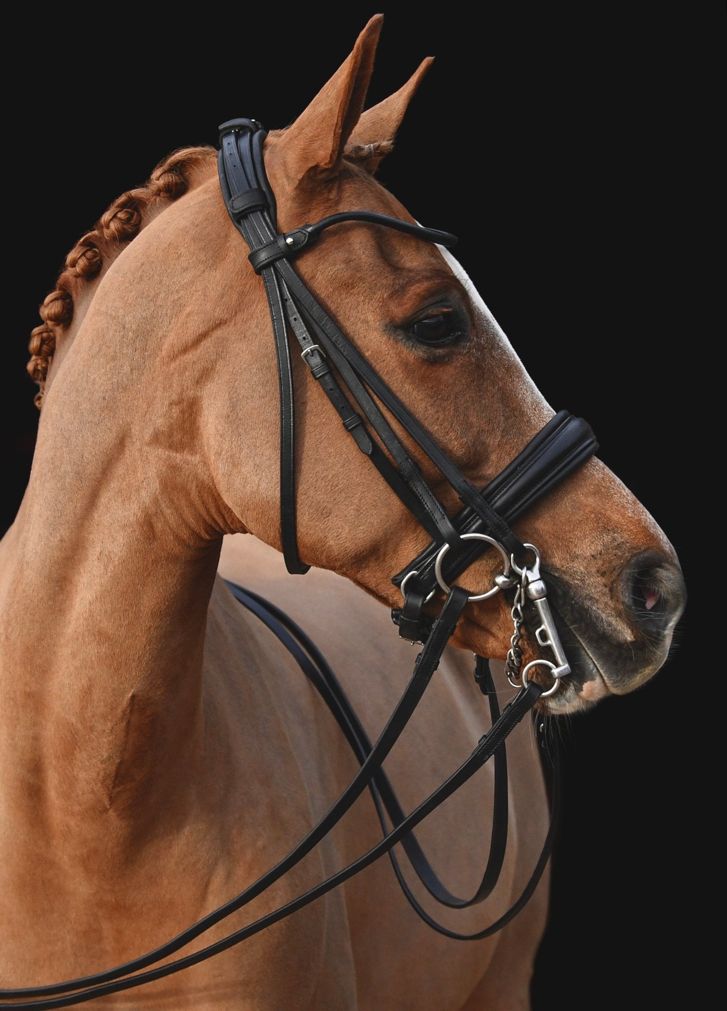 Convertible Classic Dressage Comfort Bridle, from The Urbany. Elevate your horse's style with sparkling crystals and comfort.