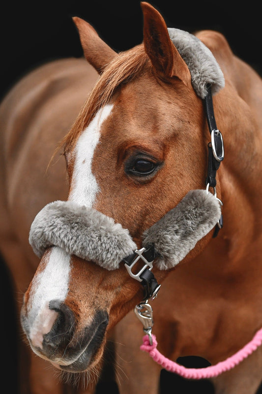 Sheepskin Headcollar Set - Grey, from The Urbany. Elevate your horse's style with sparkling crystals and comfort.