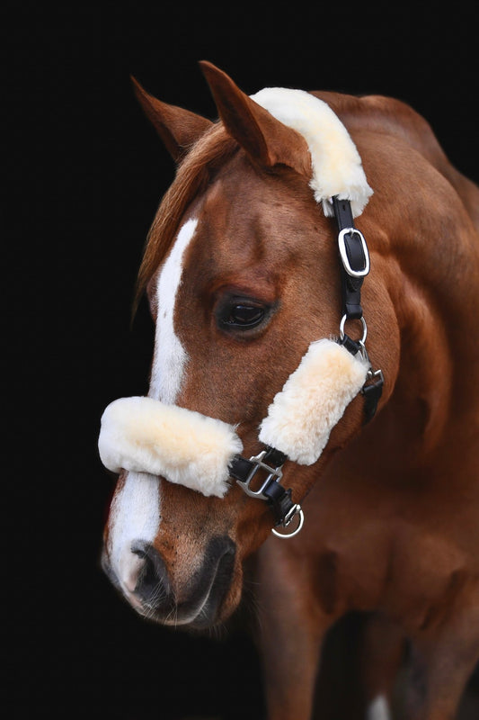 Sheepskin Headcollar Set - Natural, from The Urbany. Elevate your horse's style with sparkling crystals and comfort.