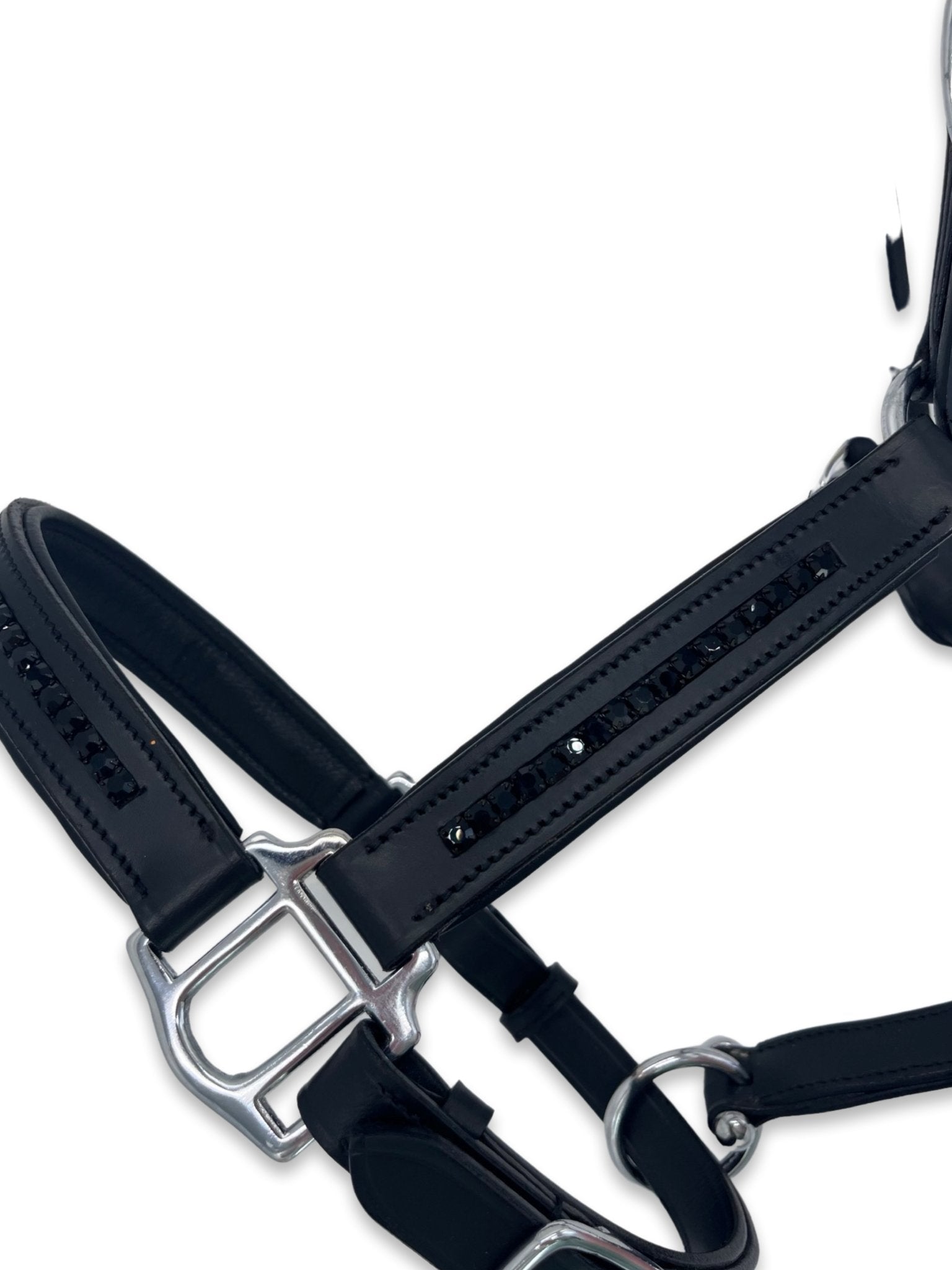 Jet Black Leather Headcollar, from The Urbany. Elevate your horse's style with sparkling crystals and comfort.